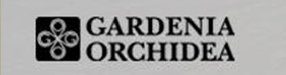 GARDENIA ORCHIDEA