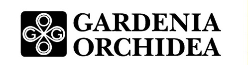 GARDENIA ORCHIDEA